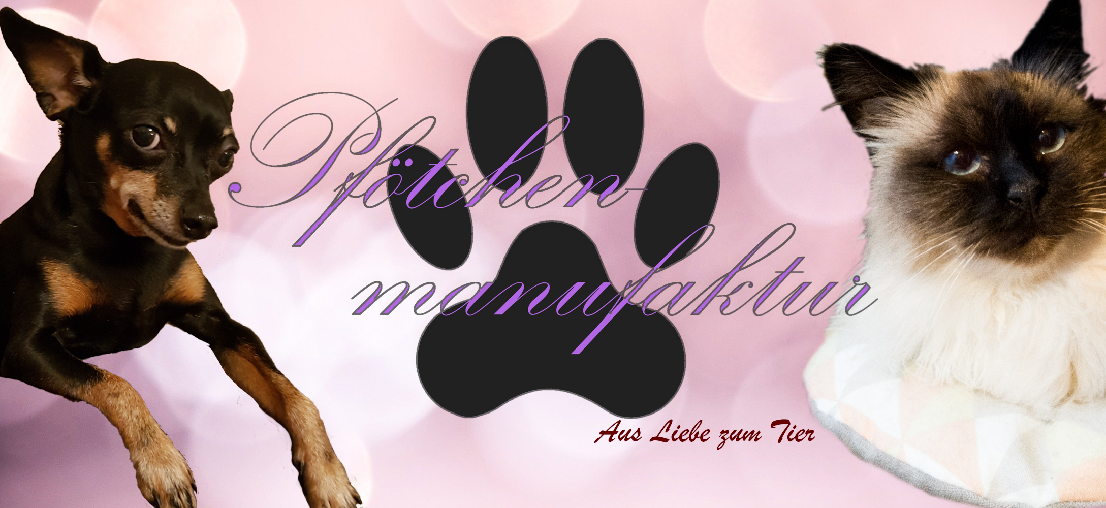 Baner1Hauptseite